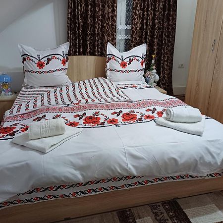 Casa Florilor Barcut Appartement Buitenkant foto