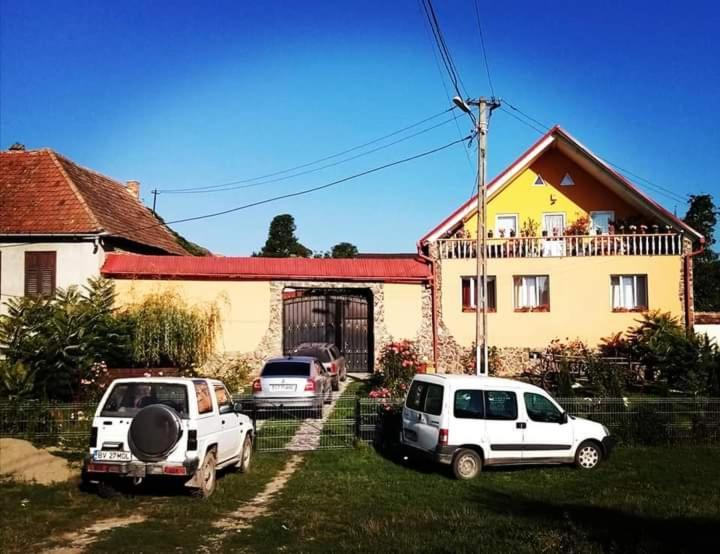 Casa Florilor Barcut Appartement Buitenkant foto