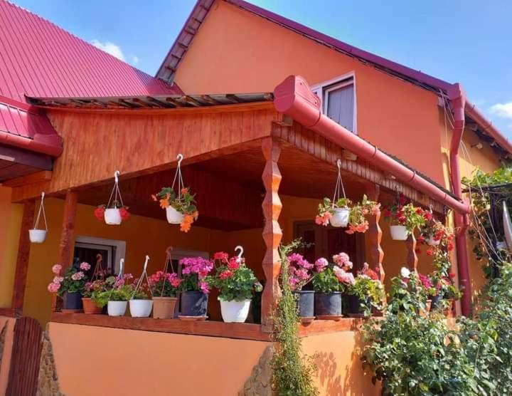 Casa Florilor Barcut Appartement Buitenkant foto