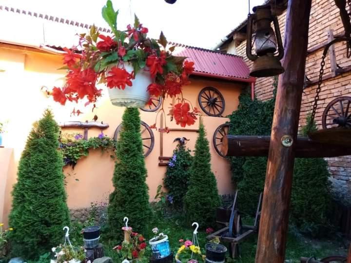 Casa Florilor Barcut Appartement Buitenkant foto
