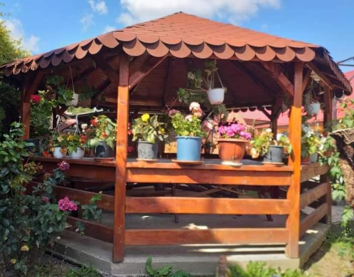 Casa Florilor Barcut Appartement Buitenkant foto