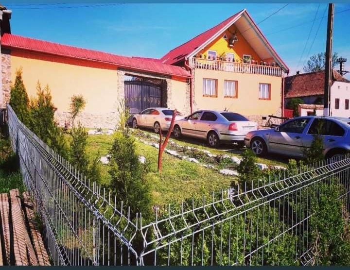 Casa Florilor Barcut Appartement Buitenkant foto
