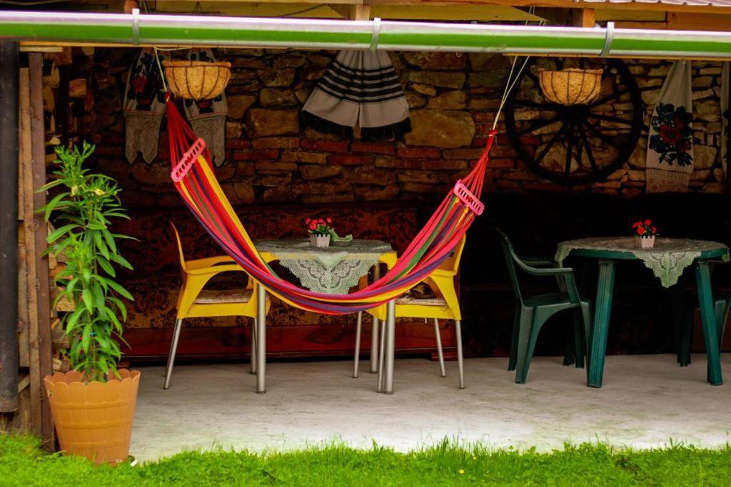 Casa Florilor Barcut Appartement Buitenkant foto