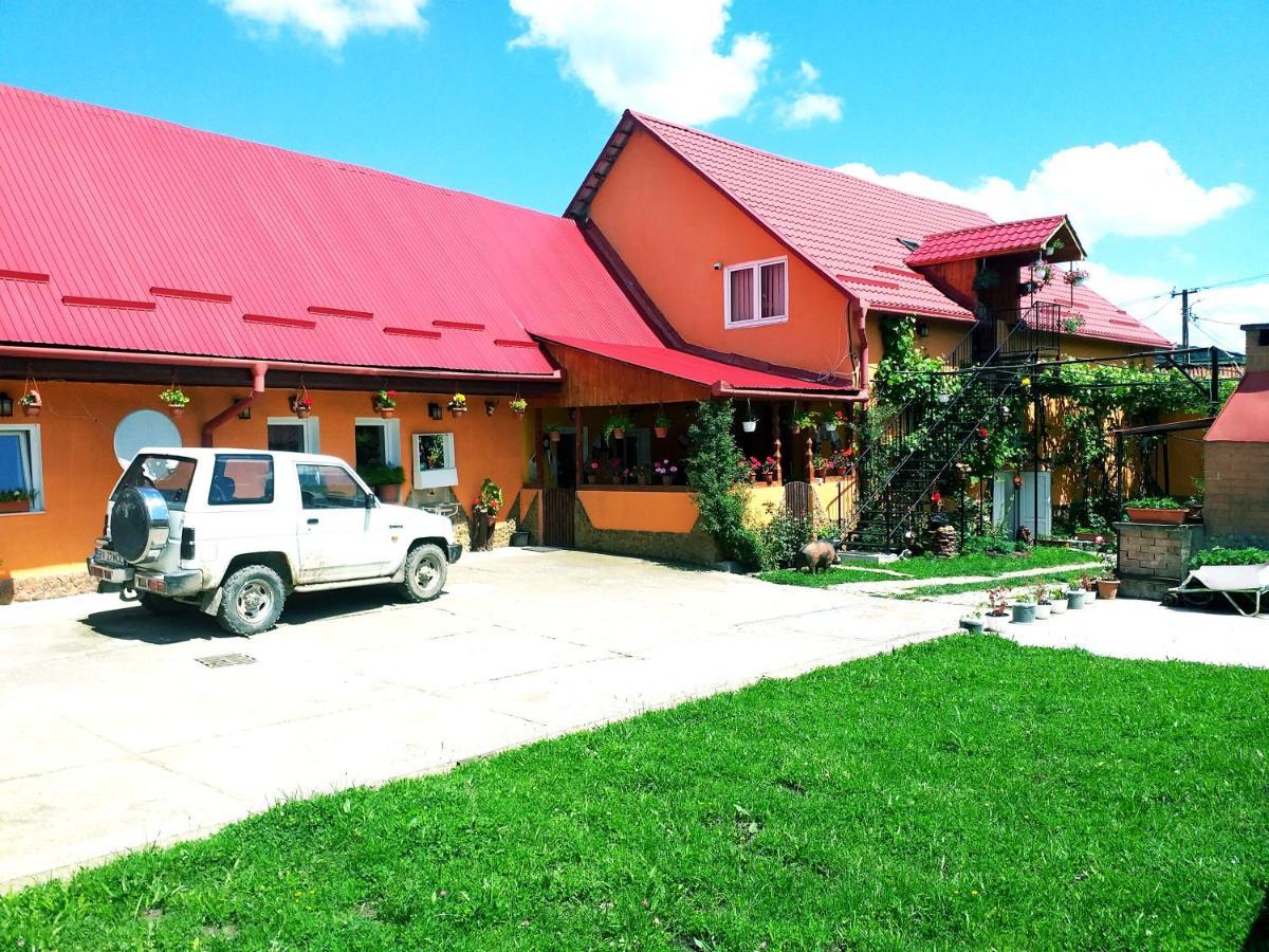 Casa Florilor Barcut Appartement Buitenkant foto