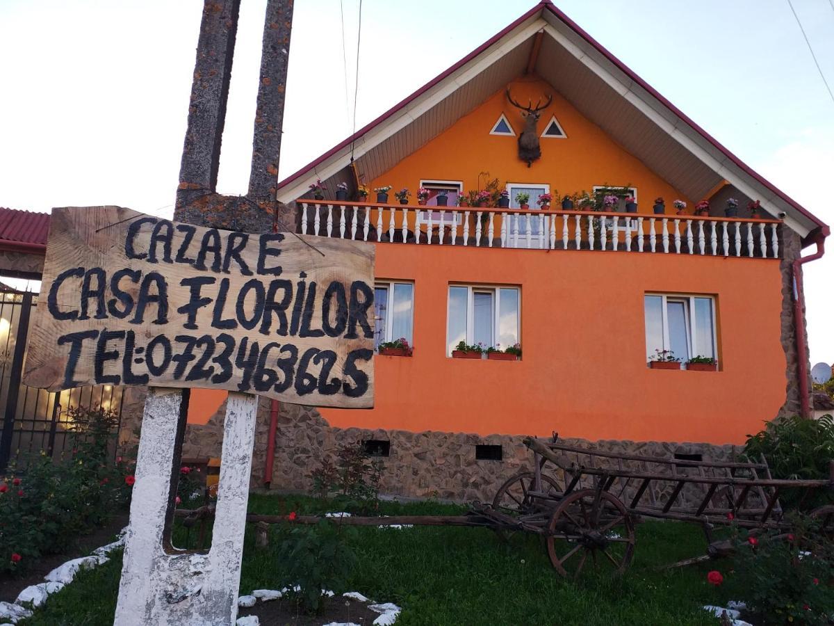 Casa Florilor Barcut Appartement Buitenkant foto