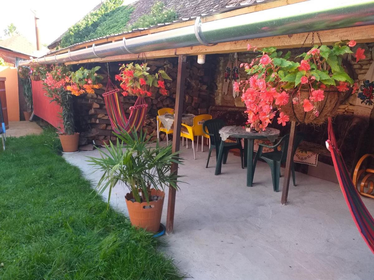 Casa Florilor Barcut Appartement Buitenkant foto