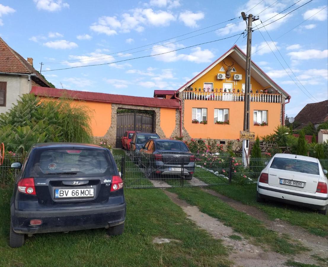 Casa Florilor Barcut Appartement Buitenkant foto