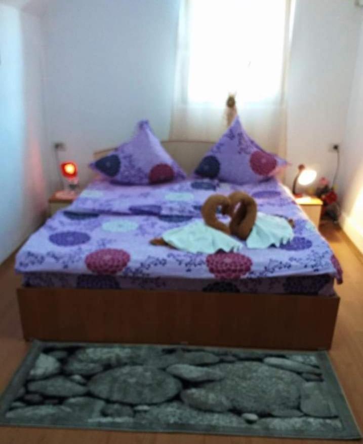 Casa Florilor Barcut Appartement Buitenkant foto