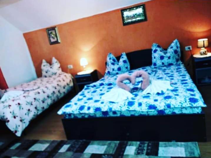 Casa Florilor Barcut Appartement Buitenkant foto