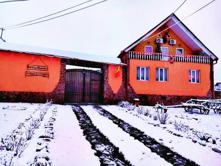 Casa Florilor Barcut Appartement Buitenkant foto