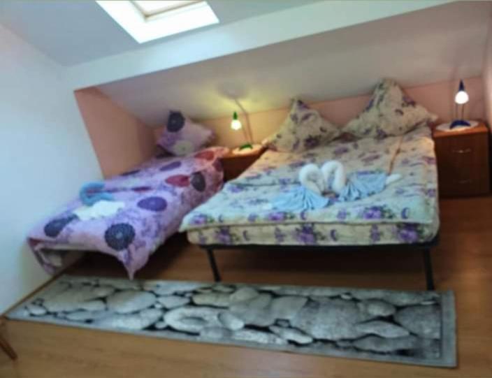 Casa Florilor Barcut Appartement Buitenkant foto