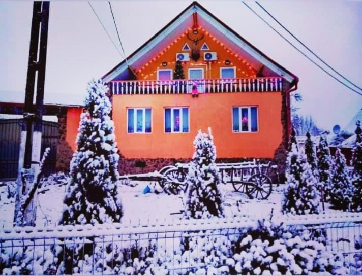 Casa Florilor Barcut Appartement Buitenkant foto