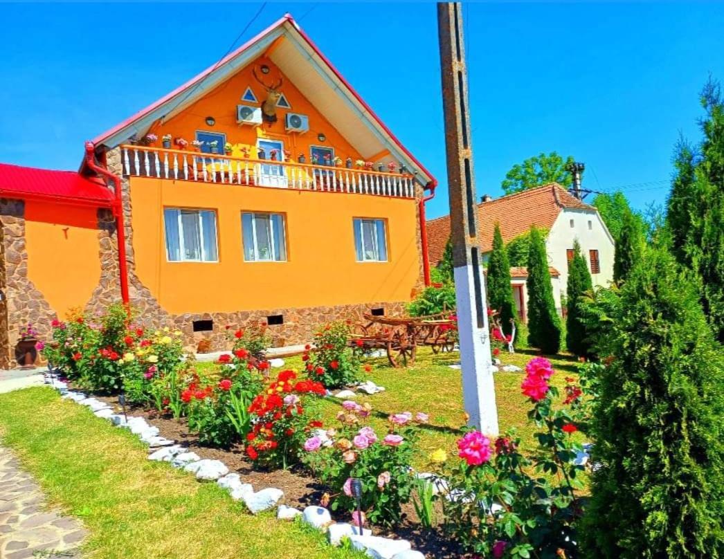 Casa Florilor Barcut Appartement Buitenkant foto