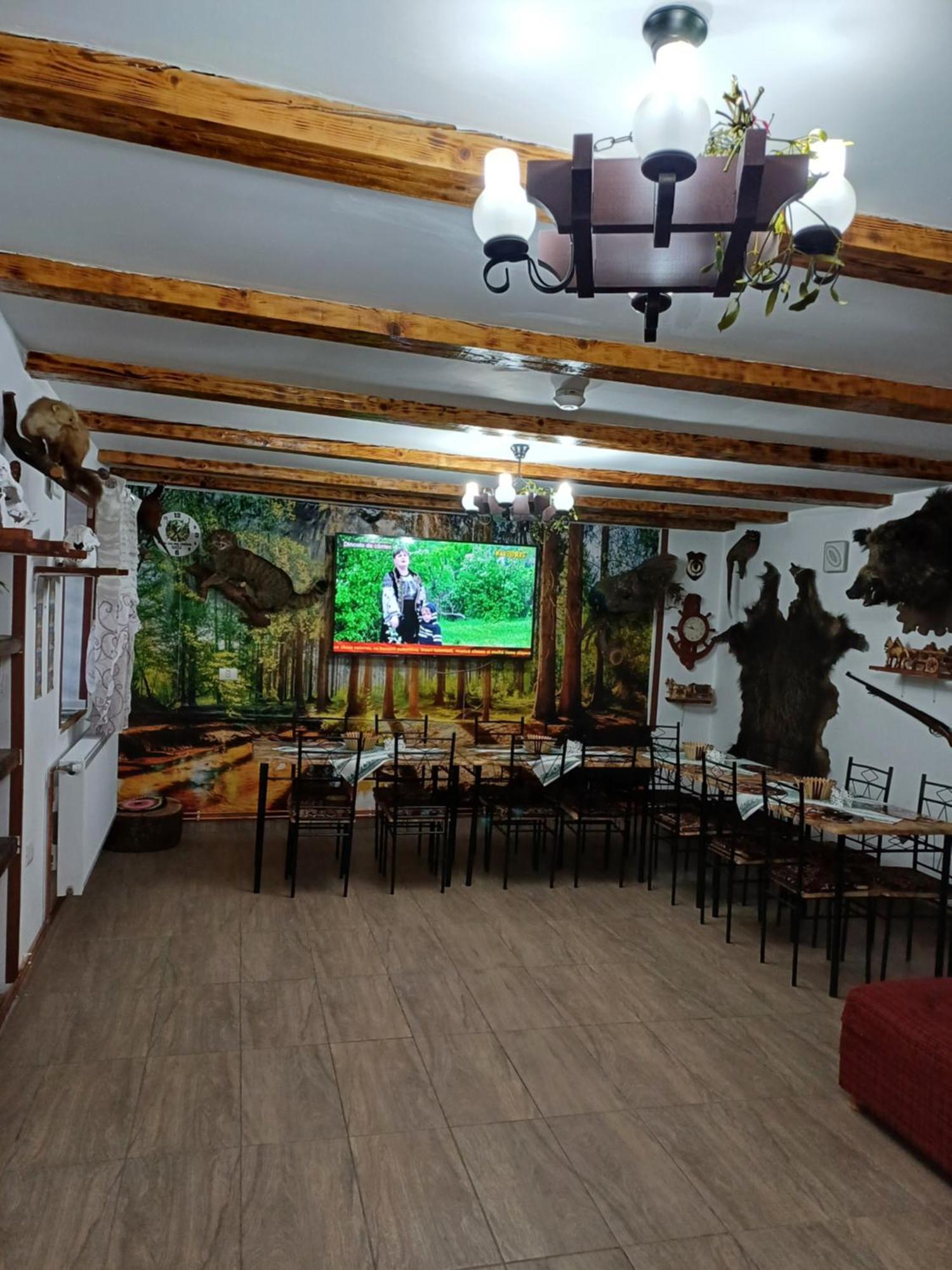 Casa Florilor Barcut Appartement Buitenkant foto
